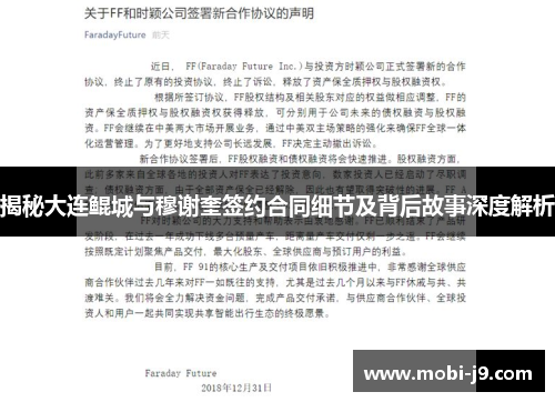 揭秘大连鲲城与穆谢奎签约合同细节及背后故事深度解析