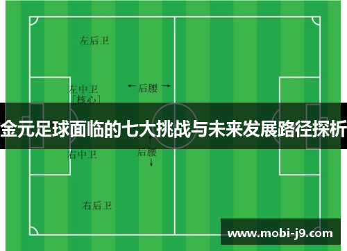 金元足球面临的七大挑战与未来发展路径探析