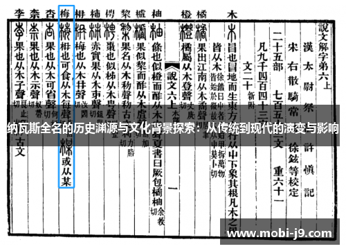 纳瓦斯全名的历史渊源与文化背景探索：从传统到现代的演变与影响