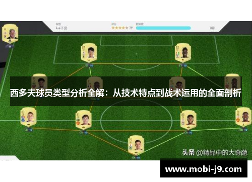 西多夫球员类型分析全解：从技术特点到战术运用的全面剖析